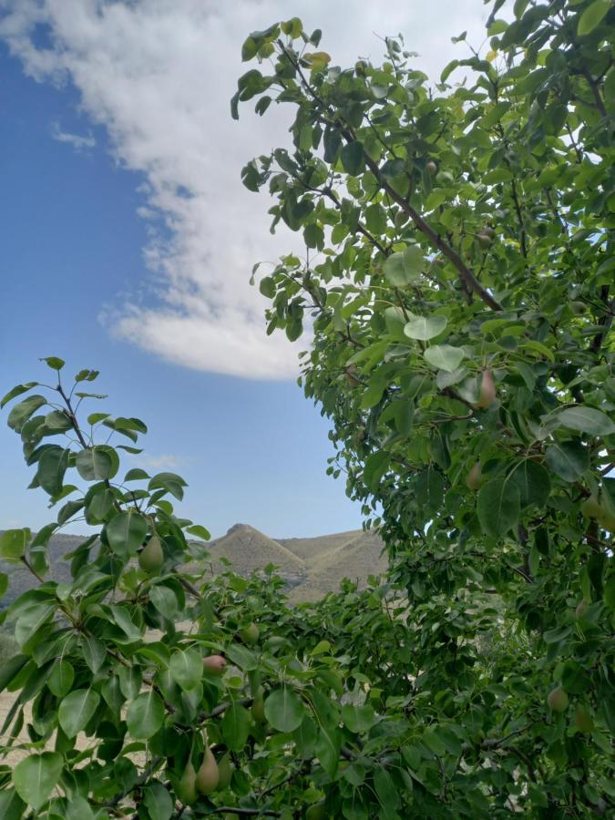 Villa Meriem Ното Екстериор снимка